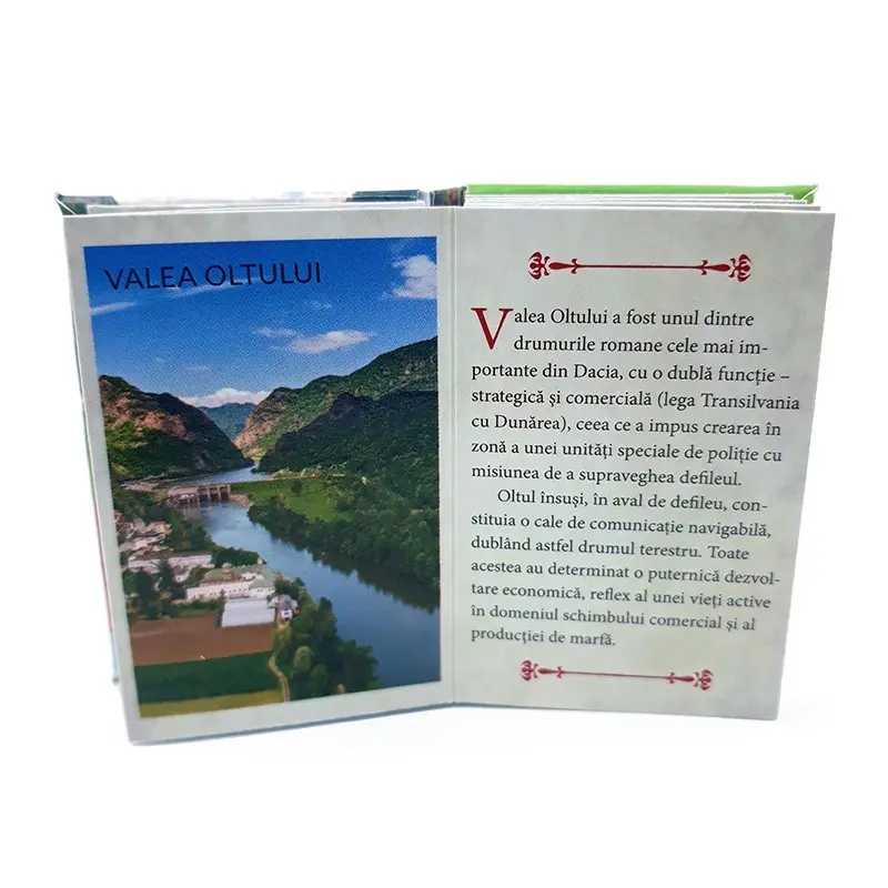 Valea oltului, magnet carte, model 2048g